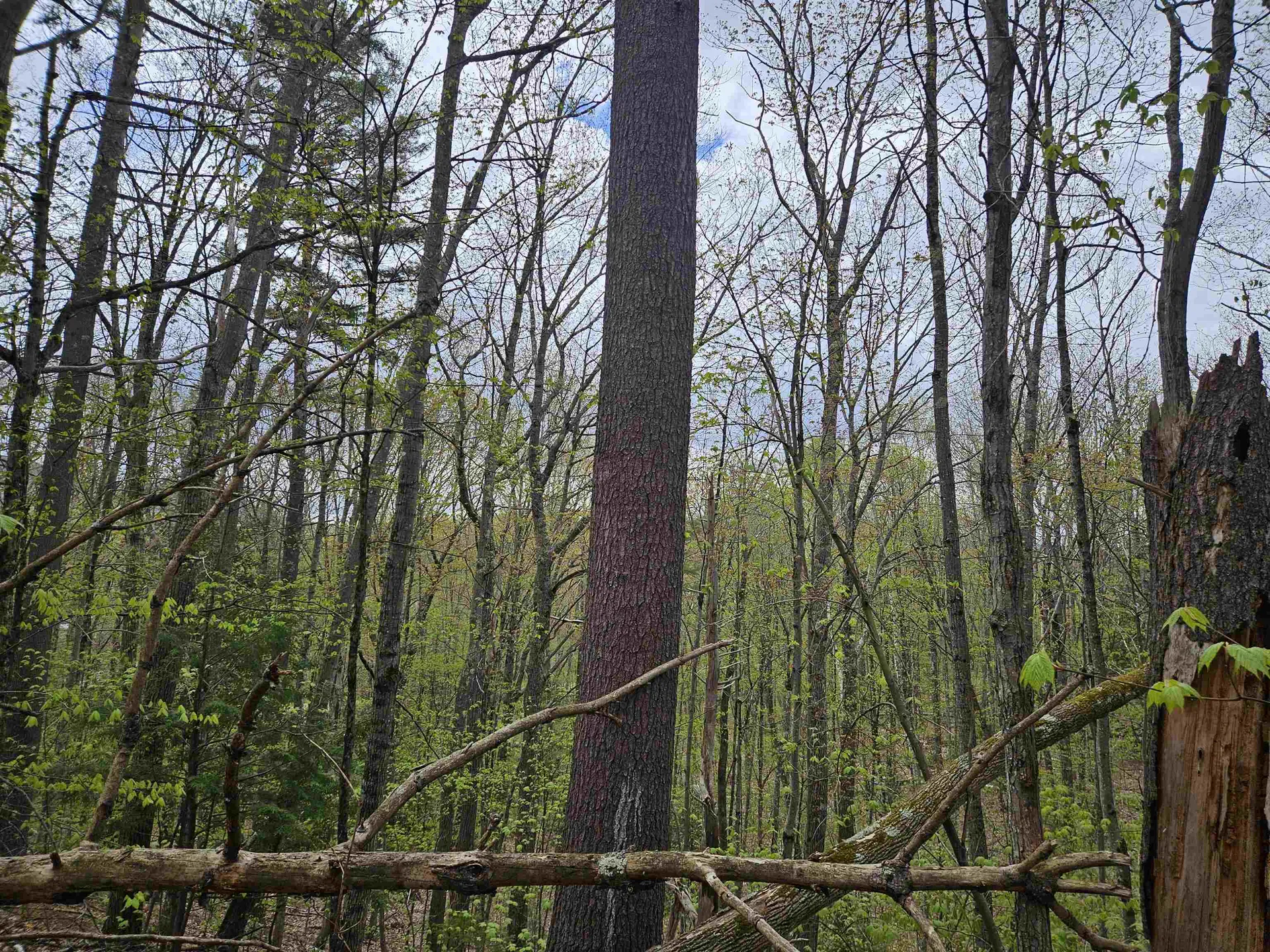 Lot 123 Paulsen Circle Haverhill NH 03765