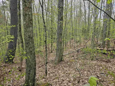 Lot 123 Paulsen Circle Haverhill NH 03765