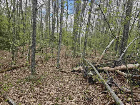 Lot 123 Paulsen Circle Haverhill NH 03765
