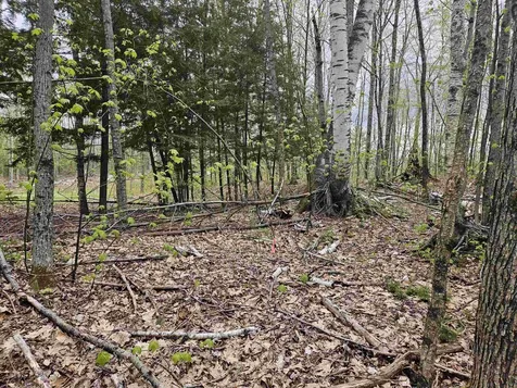 Lot 123 Paulsen Circle Haverhill NH 03765