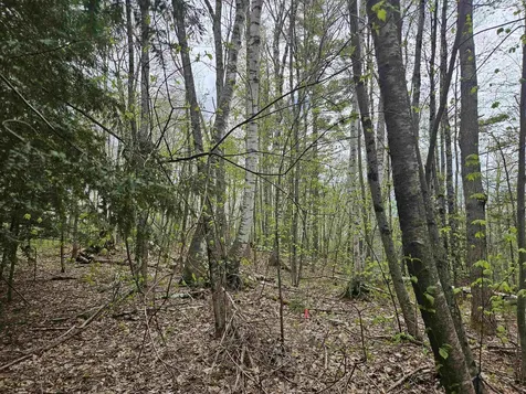 Lot 123 Paulsen Circle Haverhill NH 03765