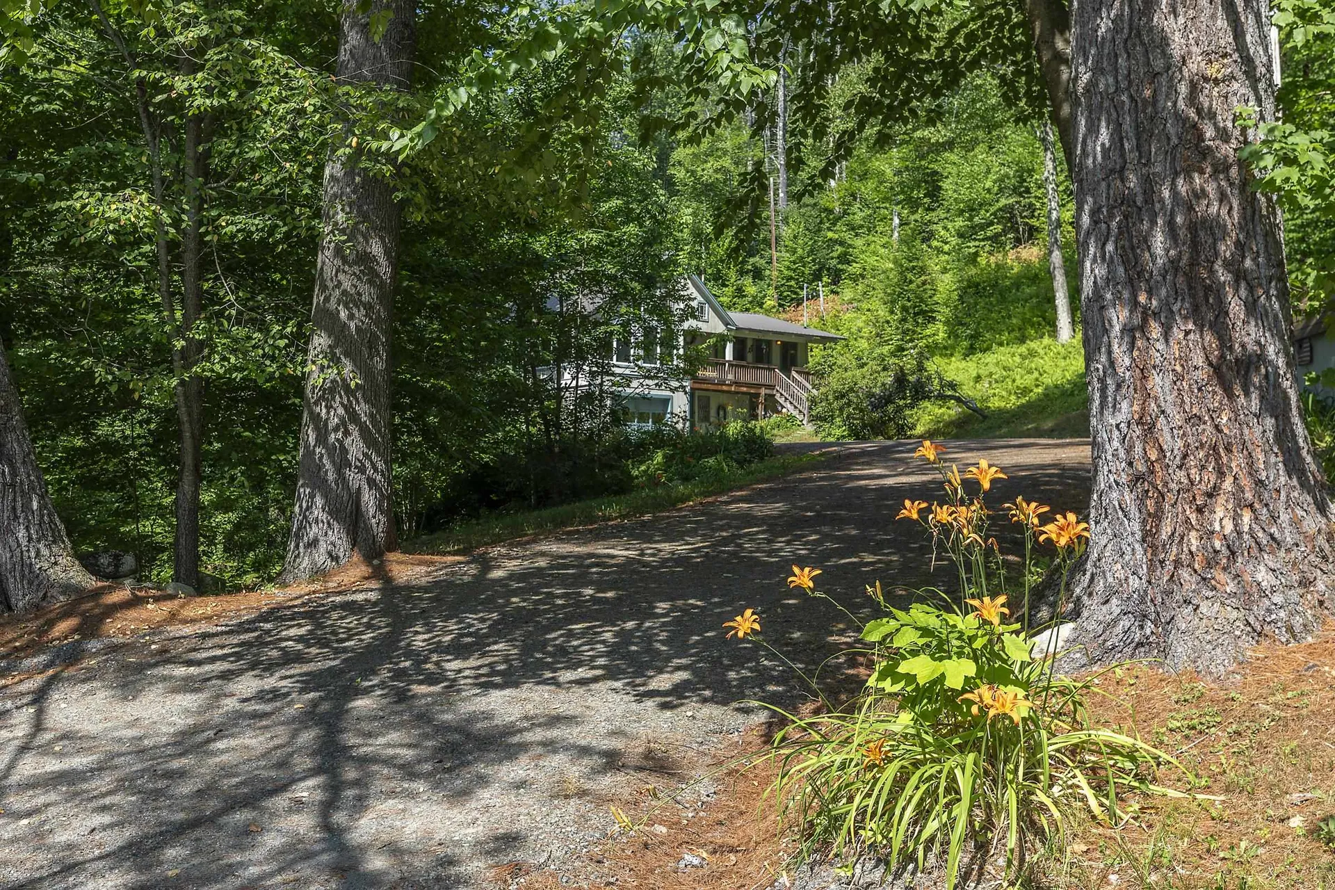 112 Robin Hill Road Townshend VT 05353