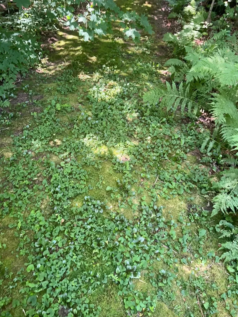 150 Parker Avenue Cavendish VT 05153