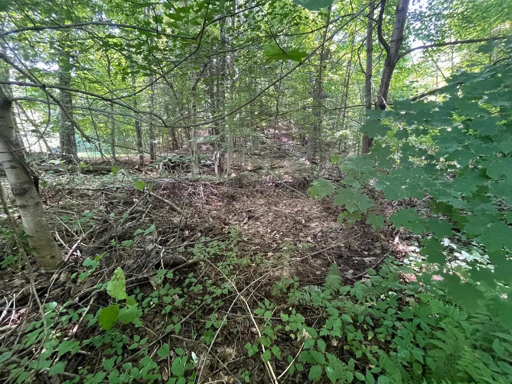 150 Parker Avenue Cavendish VT 05153