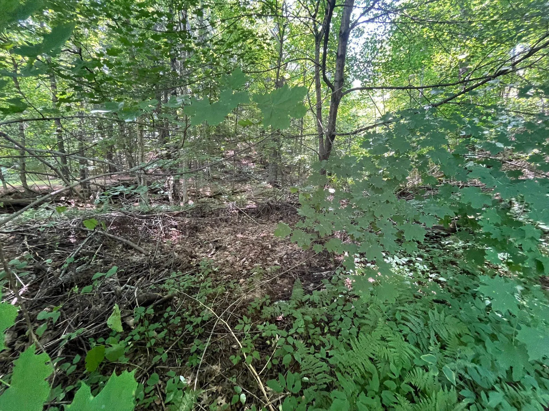 150 Parker Avenue Cavendish VT 05153