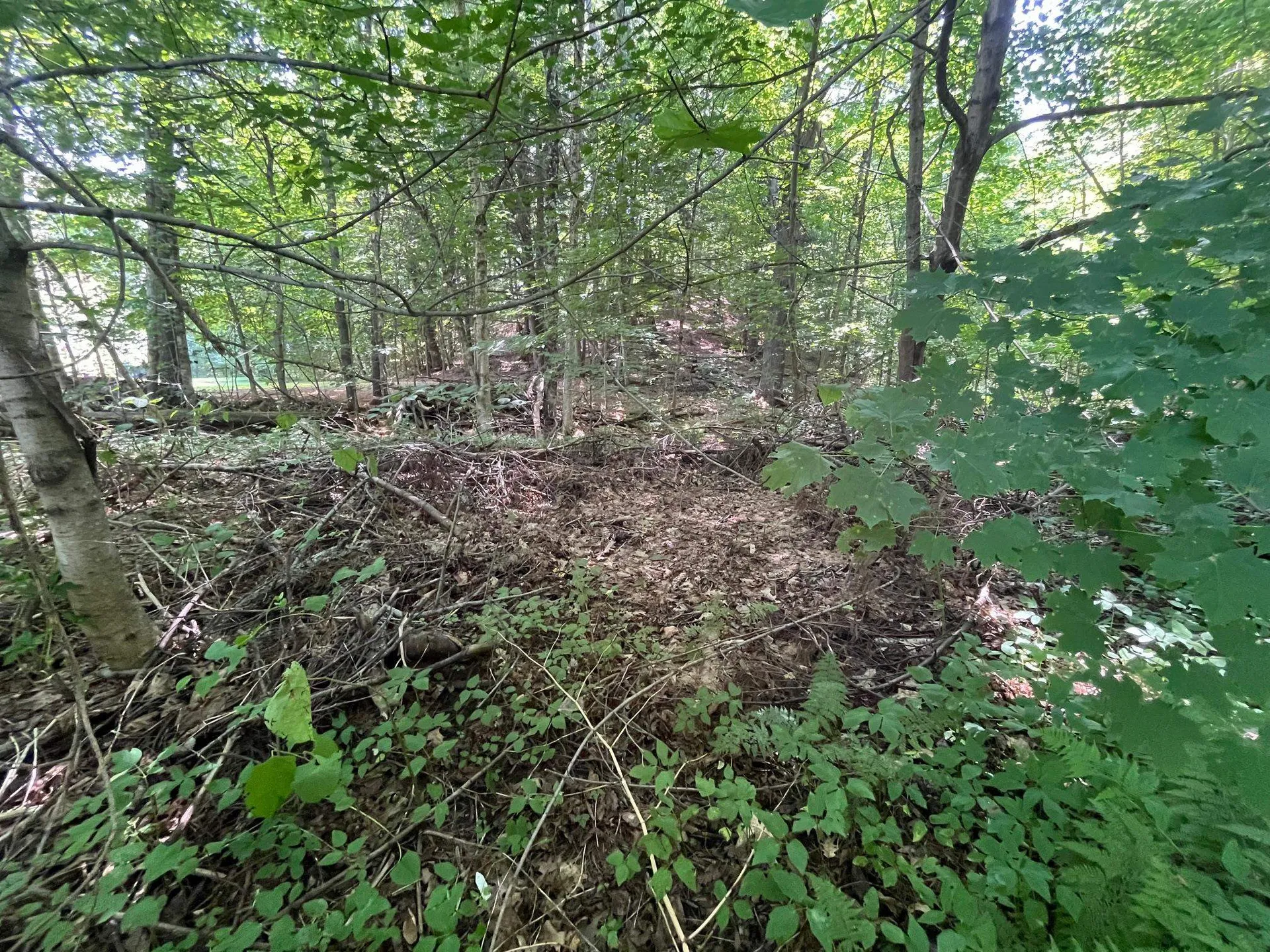 150 Parker Avenue Cavendish VT 05153