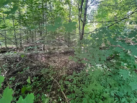 150 Parker Avenue Cavendish VT 05153