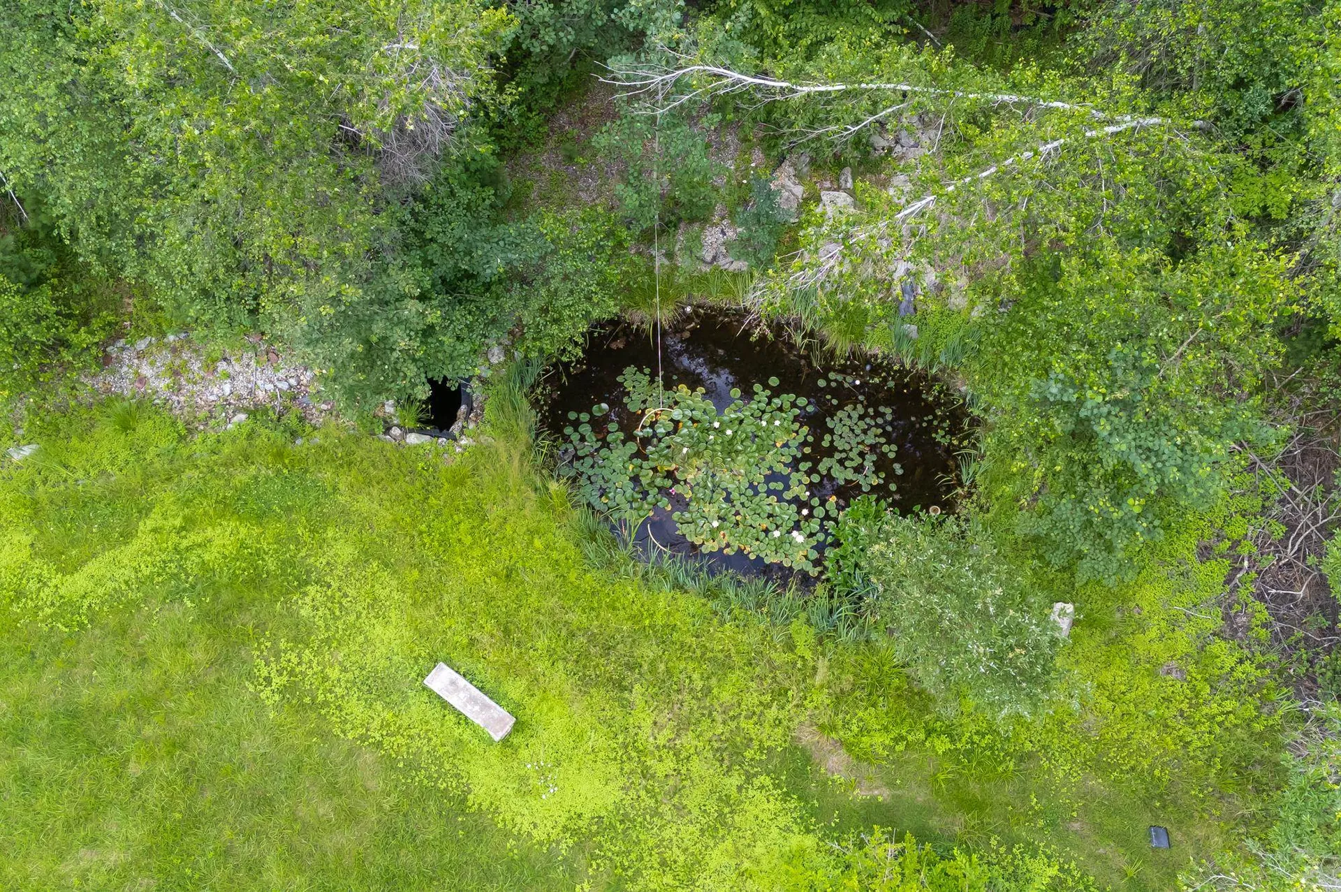 93 Richardson Road Dublin NH 03444