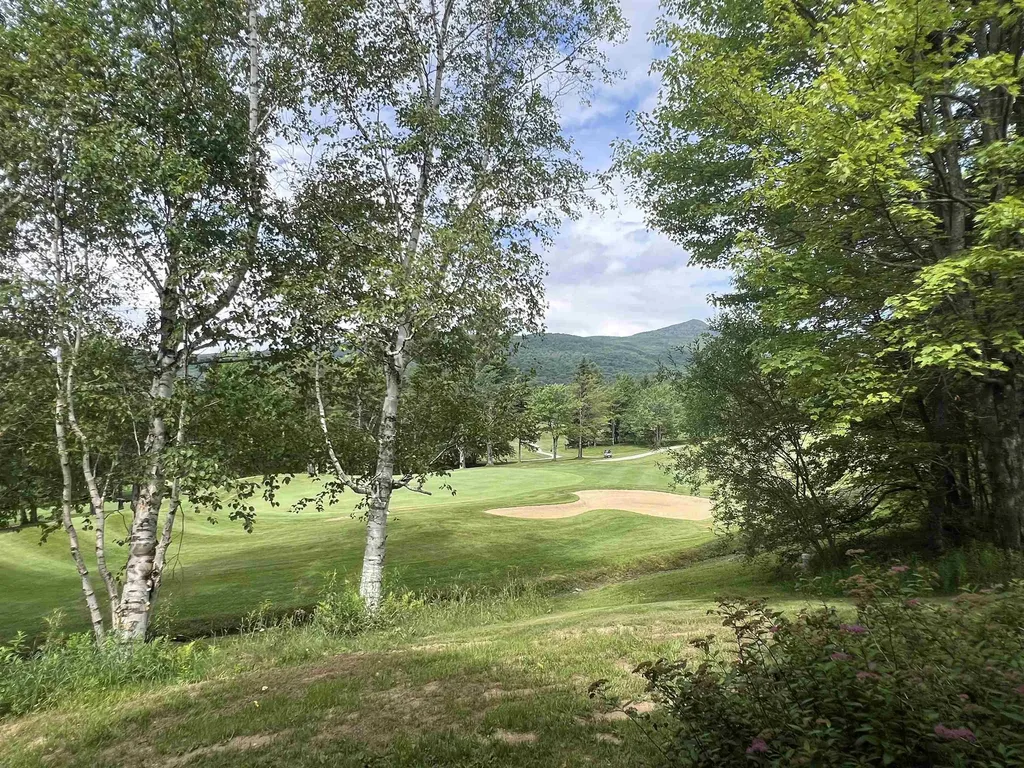 43 First Lane Wilmington VT 05363