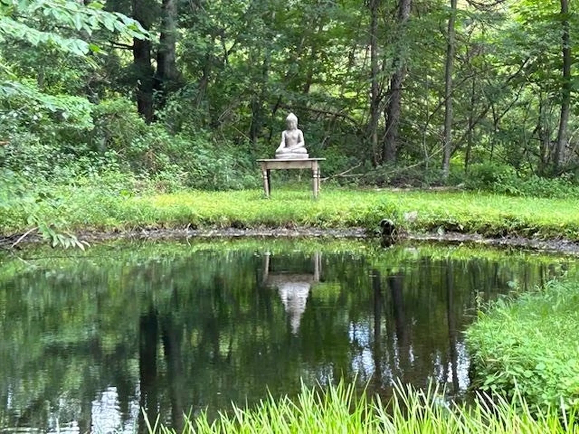 85 Browns Road Newfane VT 05345