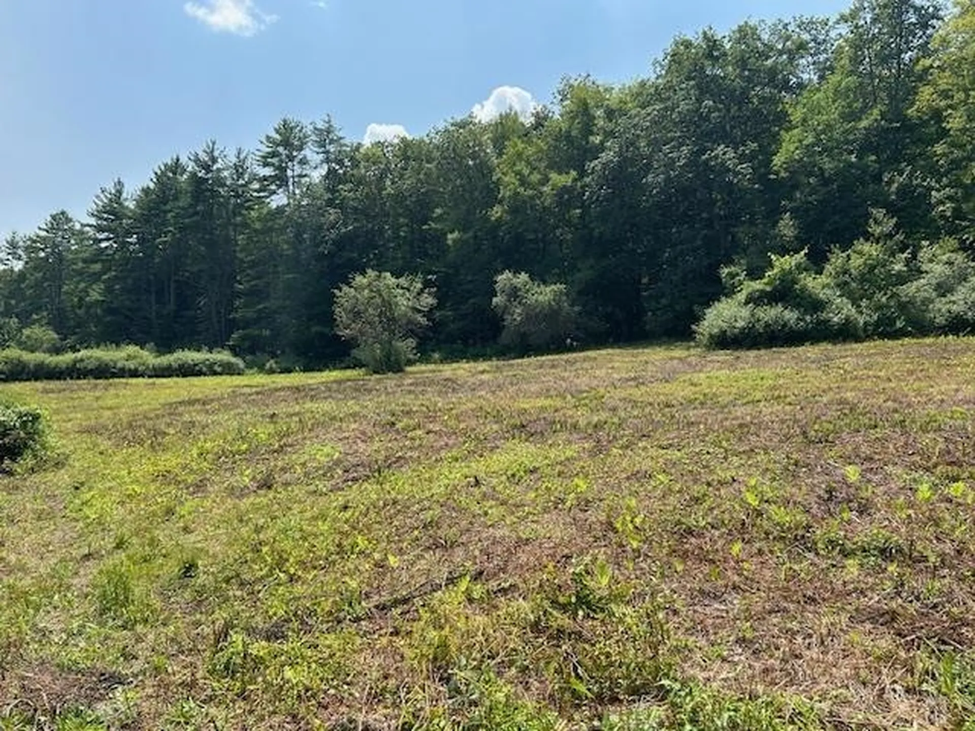 85 Browns Road Newfane VT 05345