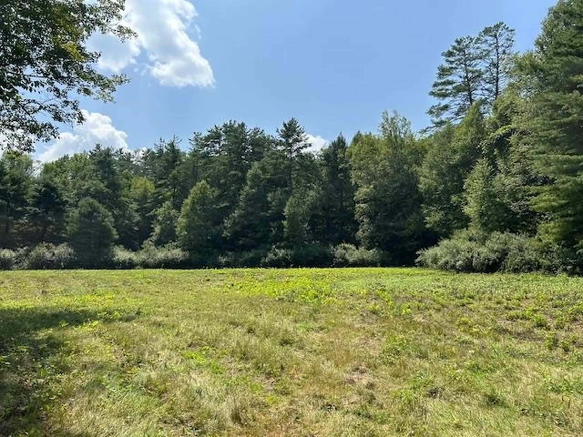 85 Browns Road Newfane VT 05345