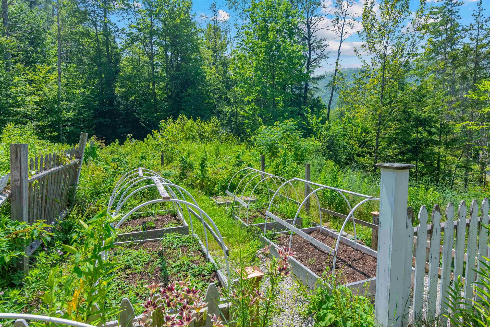 1307 Upper Notch Road Bristol VT 05443