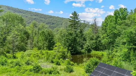 1307 Upper Notch Road Bristol VT 05443