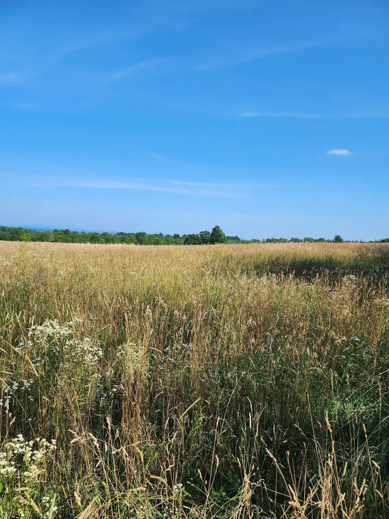 16 Us Route 2 Highway Grand Isle VT 05458