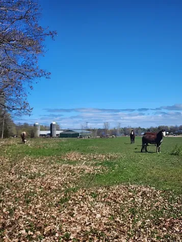 16 Us Route 2 Highway Grand Isle VT 05458