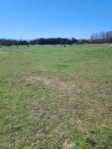 16 Us Route 2 Highway Grand Isle VT 05458