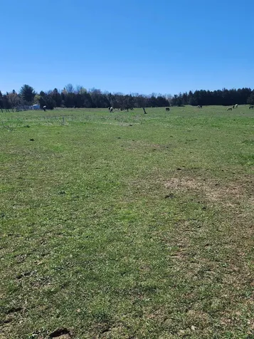 16 Us Route 2 Highway Grand Isle VT 05458