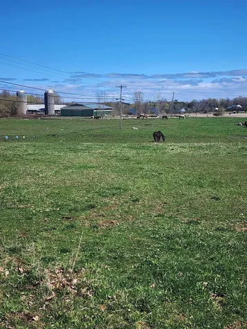 16 Us Route 2 Highway Grand Isle VT 05458