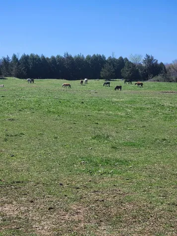 16 Us Route 2 Highway Grand Isle VT 05458