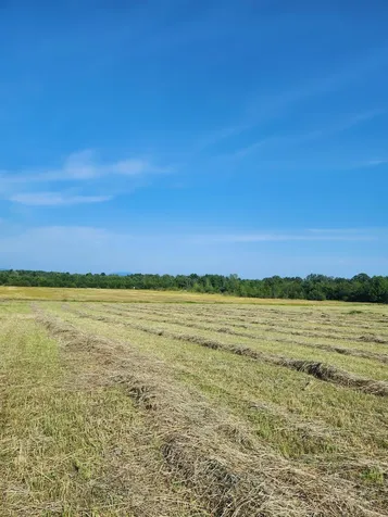 16 Us Route 2 Highway Grand Isle VT 05458