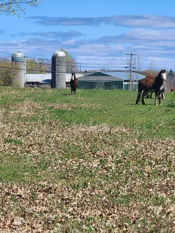 16 Us Route 2 Highway Grand Isle VT 05458