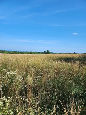 16 Us Route 2 Highway Grand Isle VT 05458