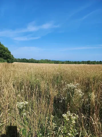 16 Us Route 2 Highway Grand Isle VT 05458