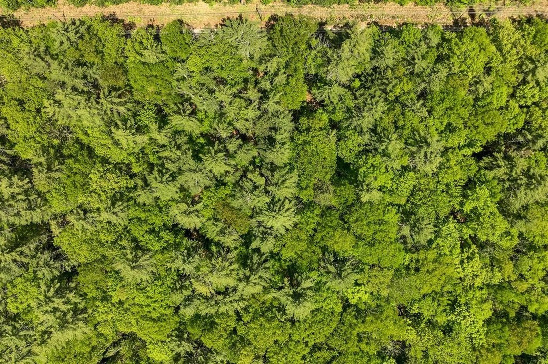 122-1 Gwh Highway Moultonborough NH 03254