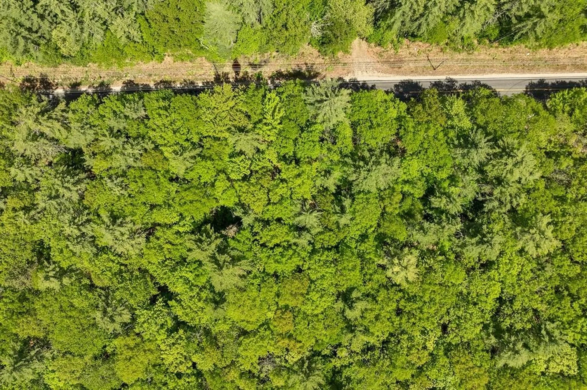 122-1 Gwh Highway Moultonborough NH 03254