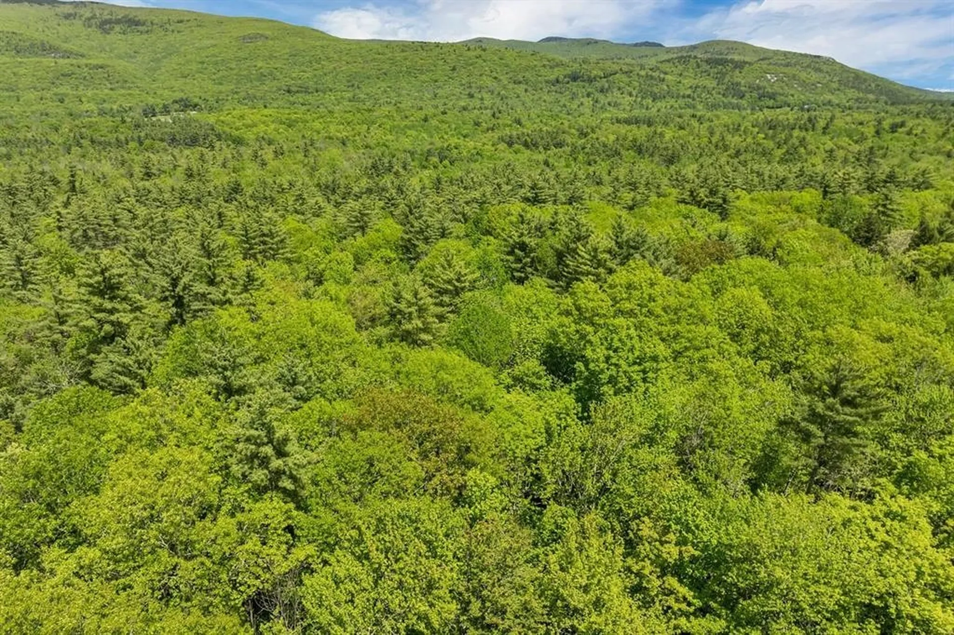 122-1 Gwh Highway Moultonborough NH 03254