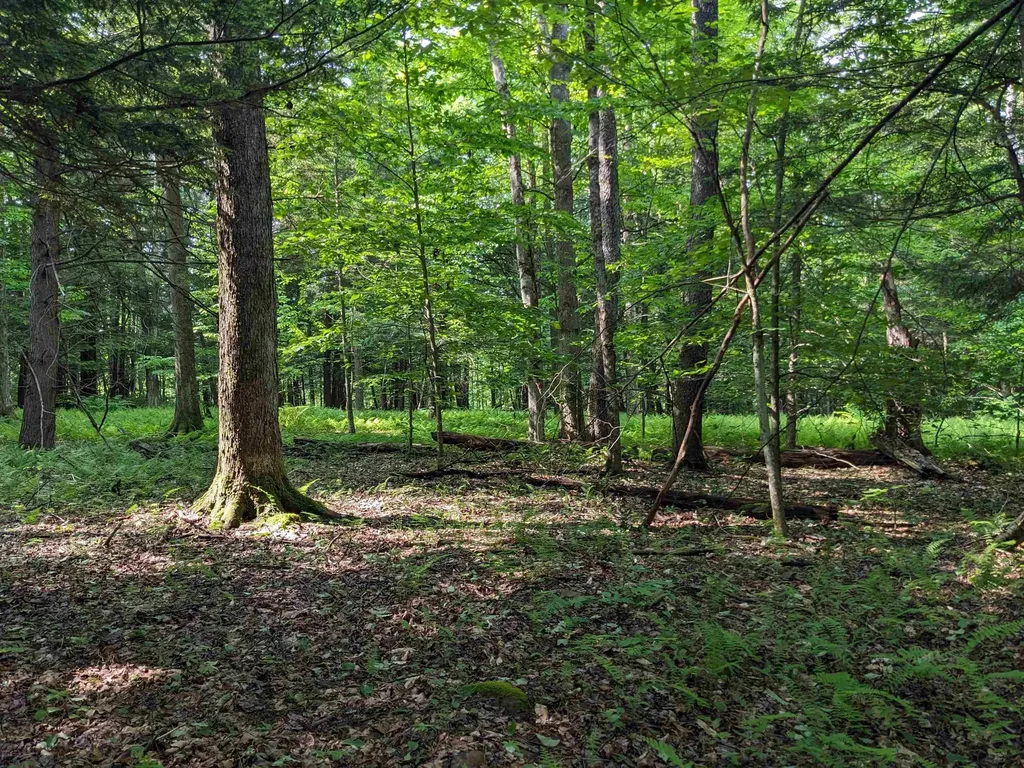 00 East Street Clarendon VT 05759