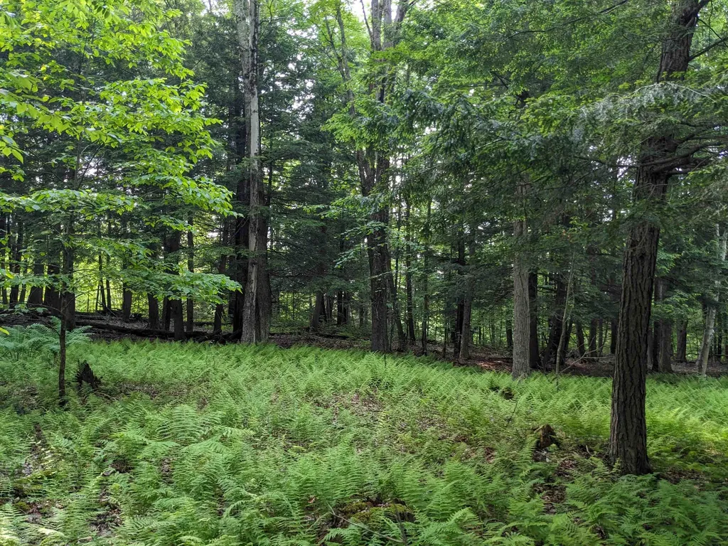 00 East Street Clarendon VT 05759