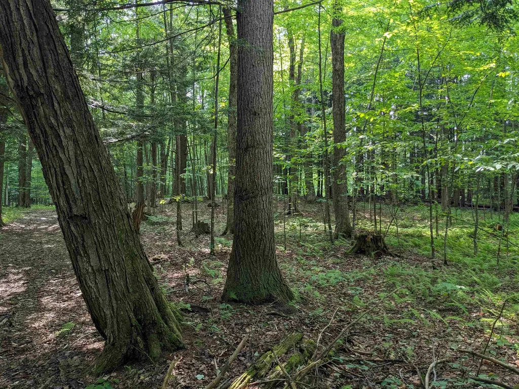 00 East Street Clarendon VT 05759