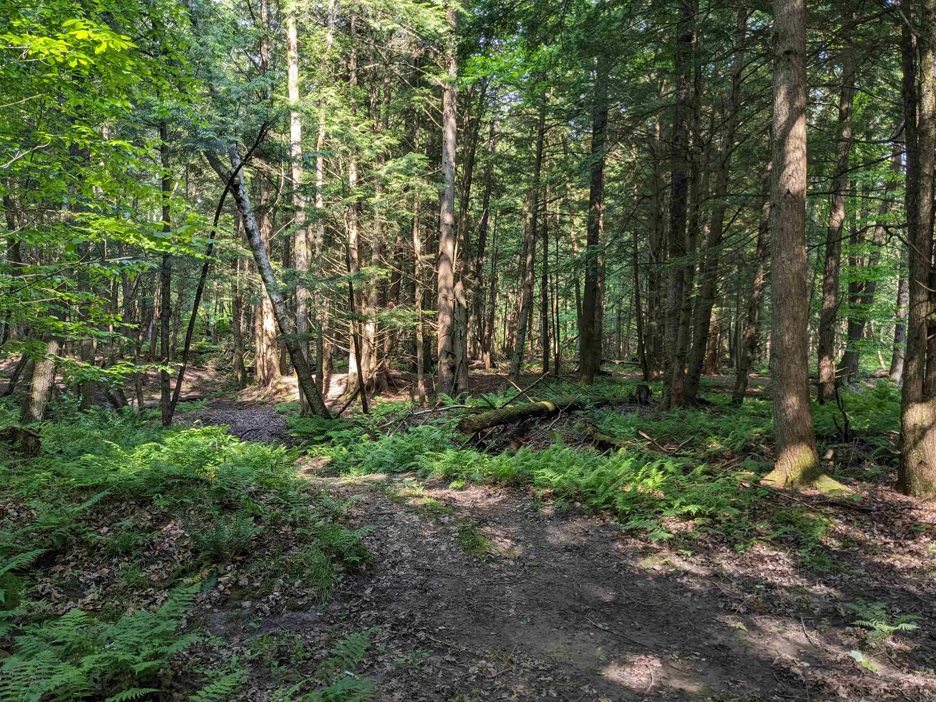 00 East Street Clarendon VT 05759