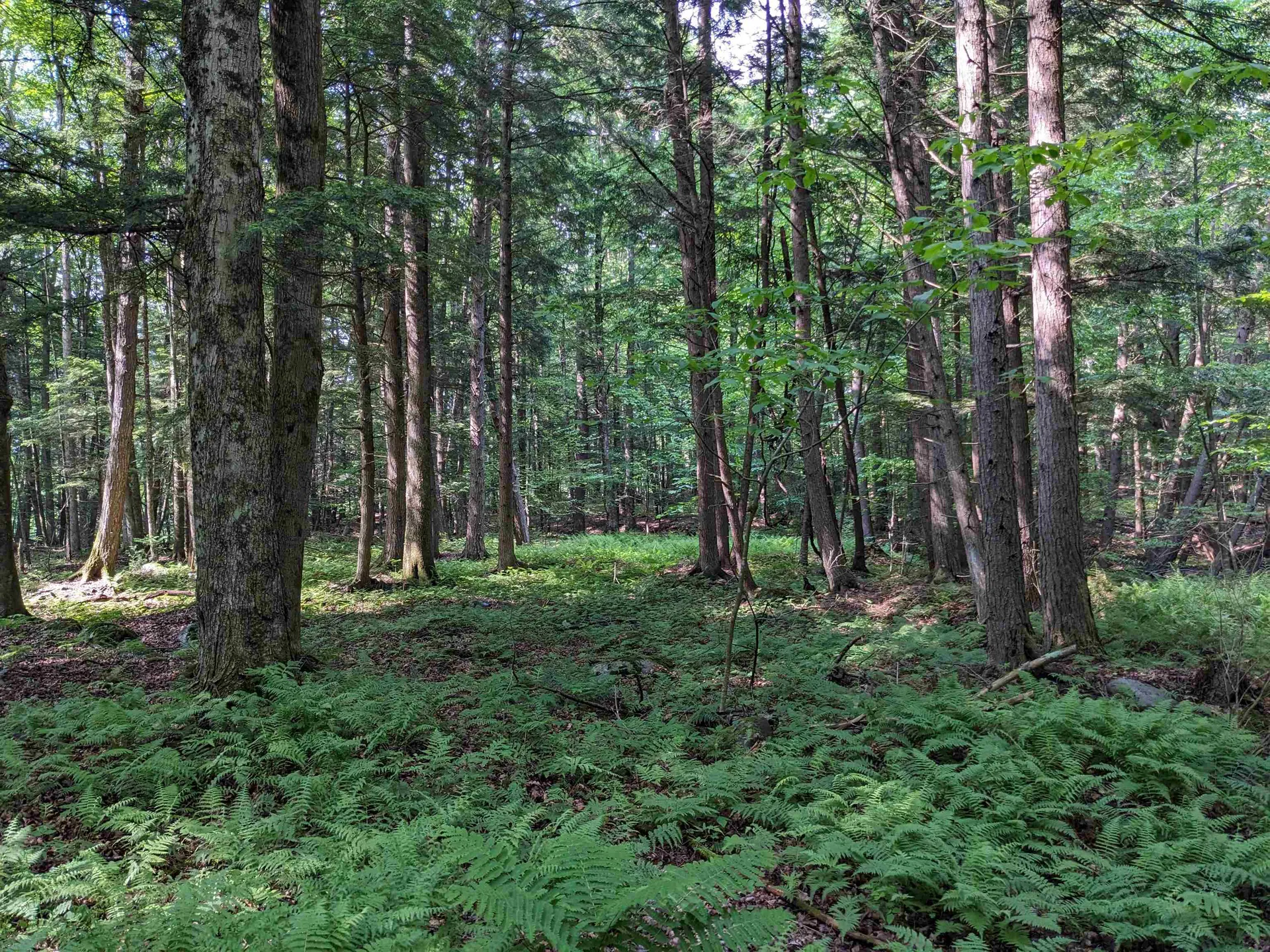 00 East Street Clarendon VT 05759