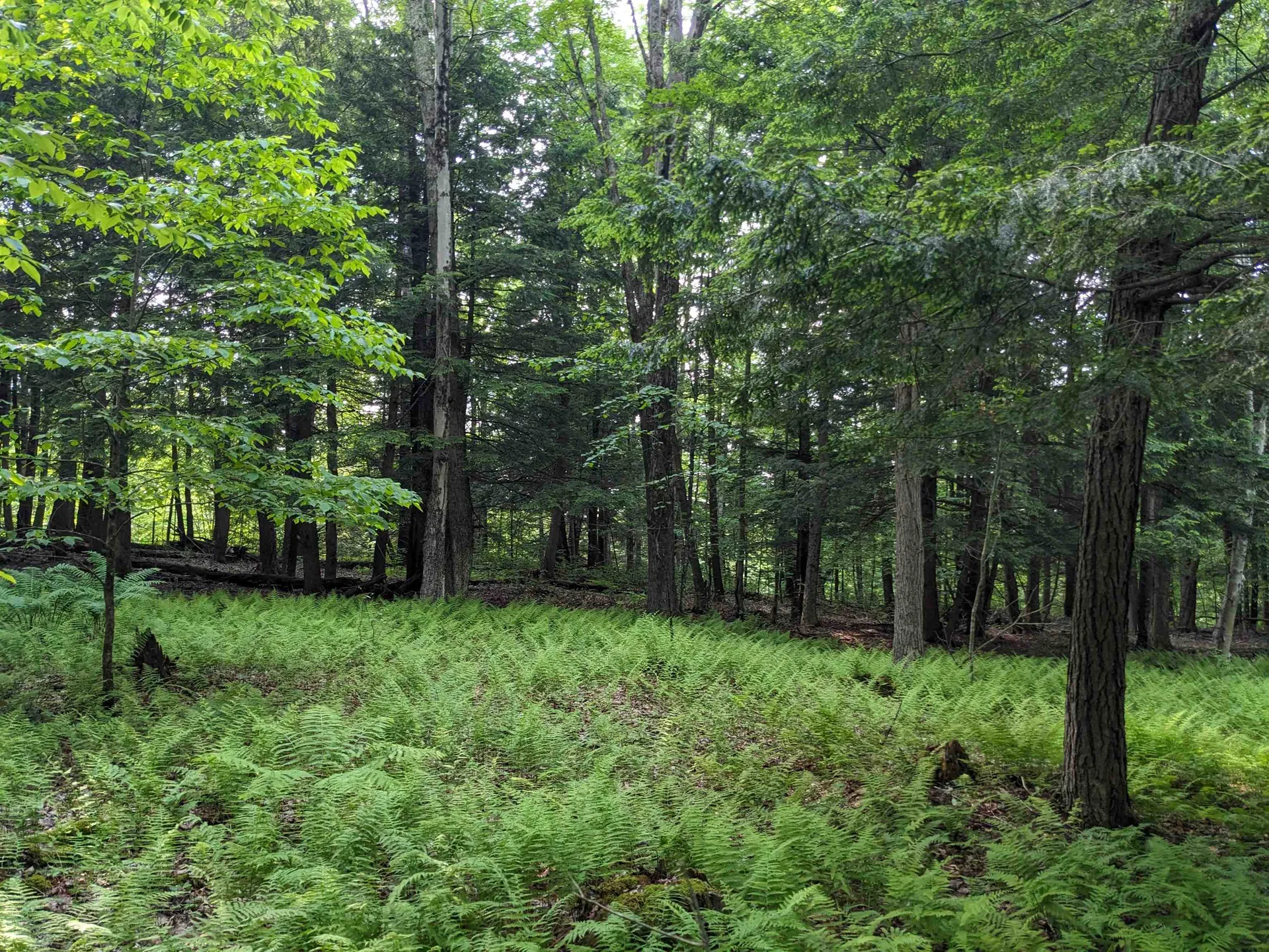 00 East Street Clarendon VT 05759