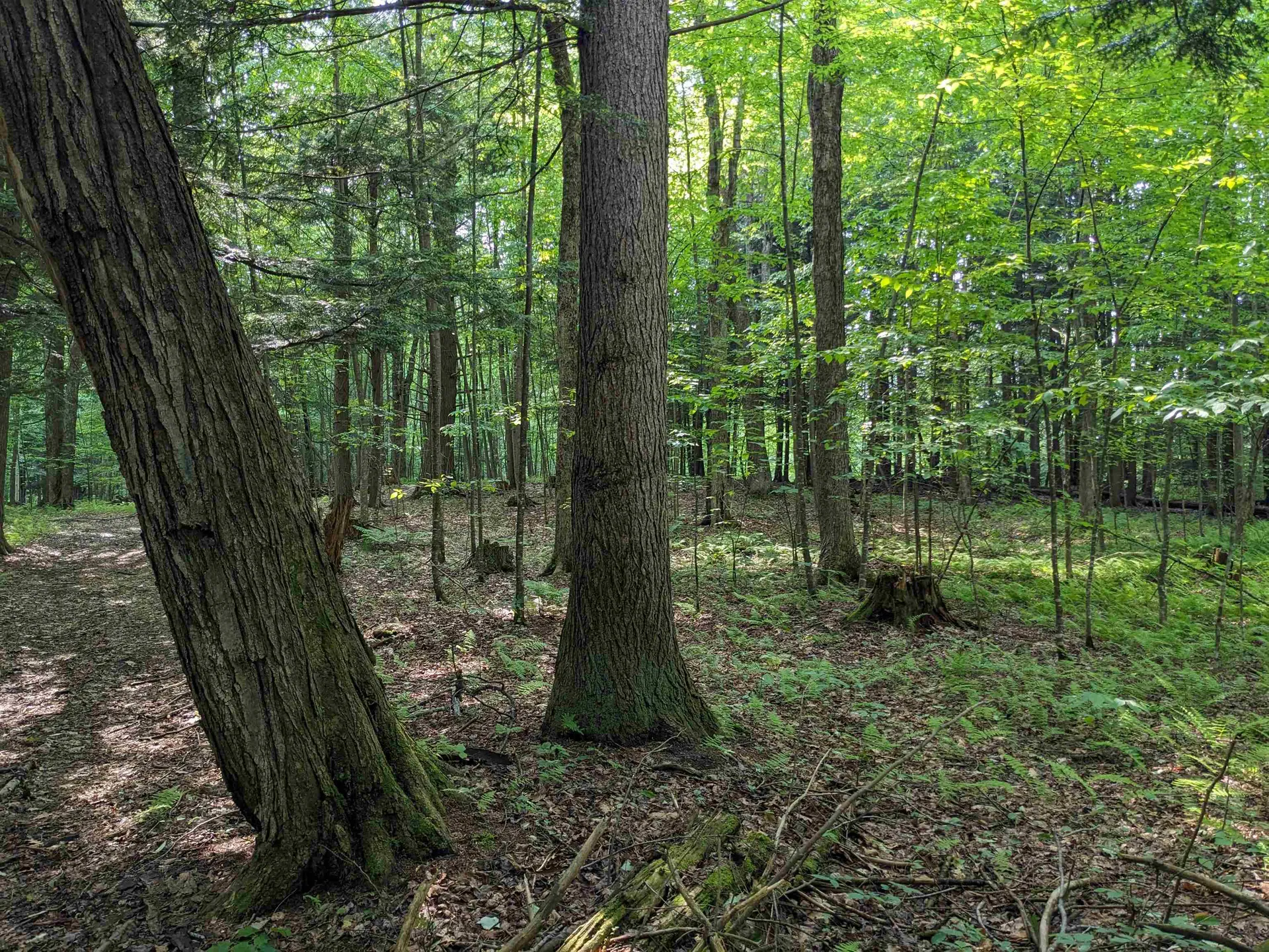 00 East Street Clarendon VT 05759