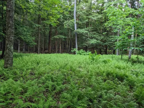 00 East Street Clarendon VT 05759