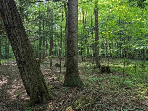 00 East Street Clarendon VT 05759