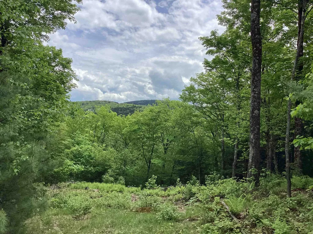 Lot 1 Pegwood Road Campton NH 03223
