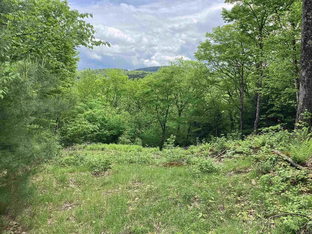 Lot 1 Pegwood Road Campton NH 03223