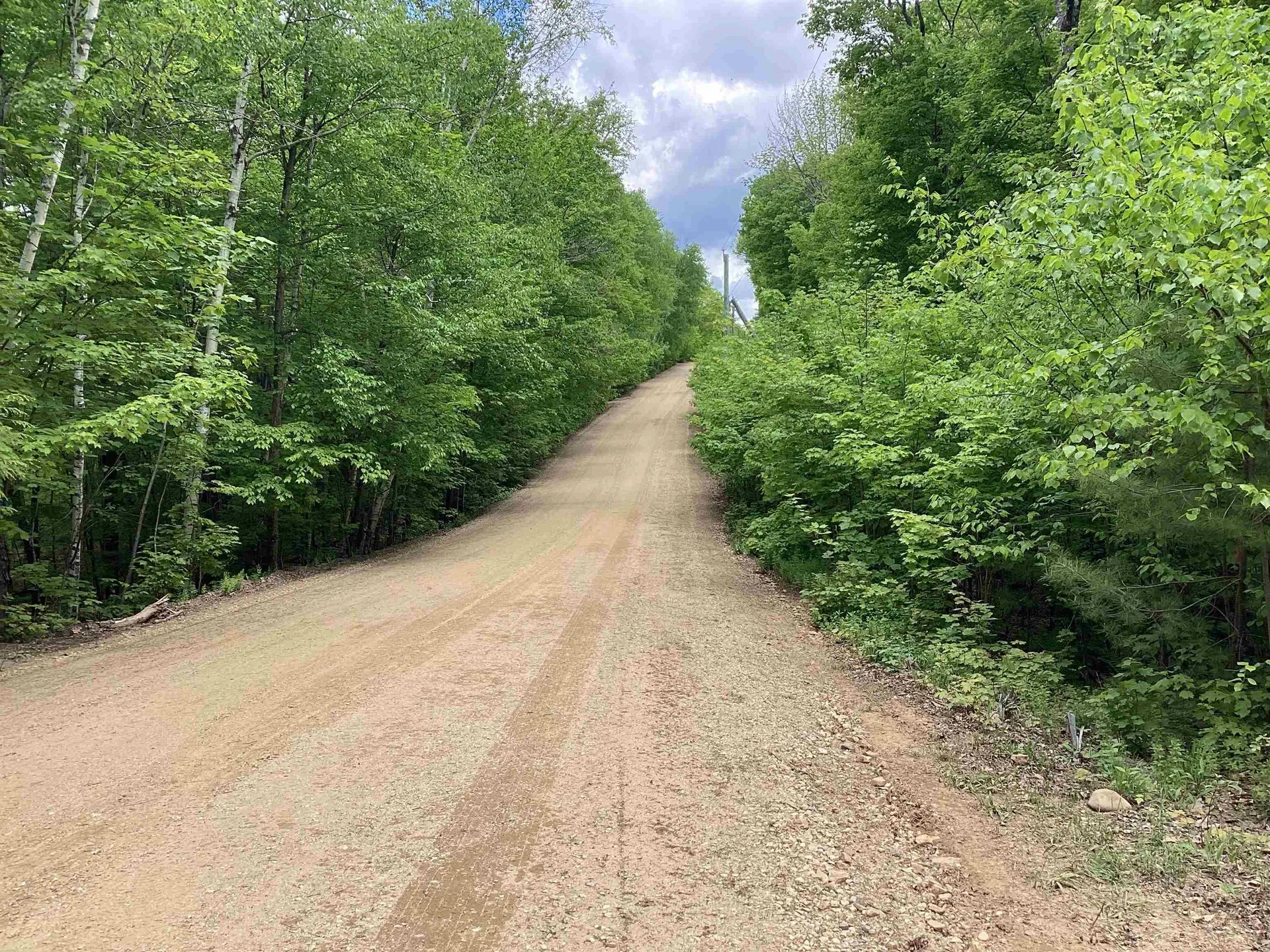 Lot 1 Pegwood Road Campton NH 03223