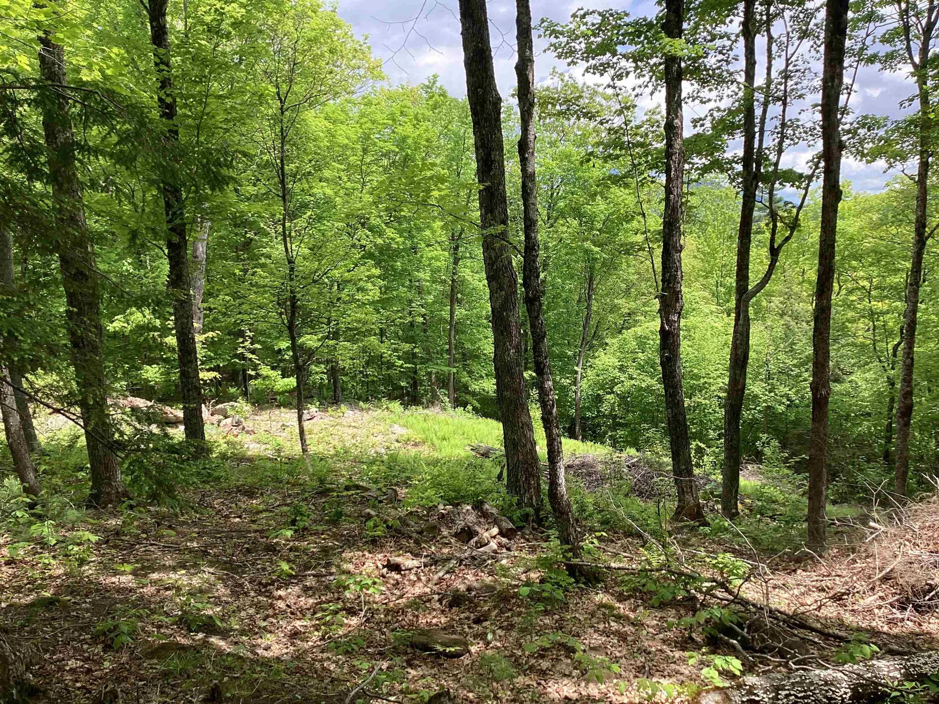 Lot 1 Pegwood Road Campton NH 03223