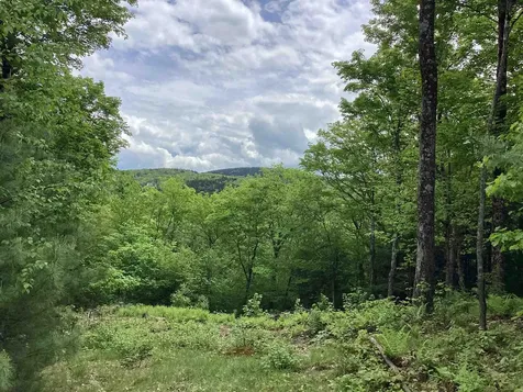 Lot 1 Pegwood Road Campton NH 03223