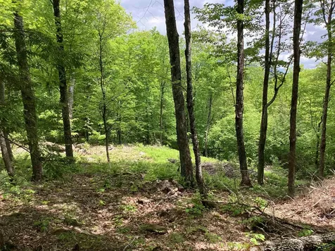 Lot 1 Pegwood Road Campton NH 03223