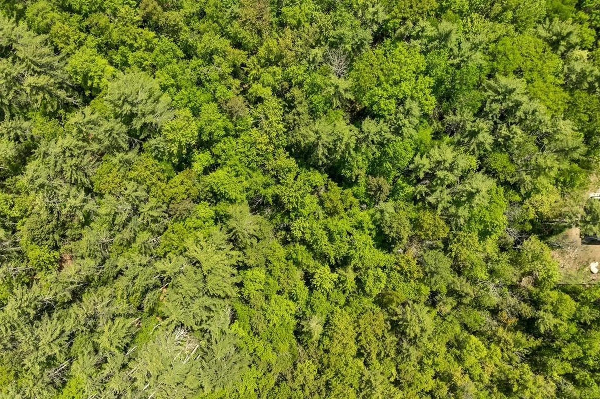 122-001-002 Gov. Wentworth Highway Moultonborough NH 03254