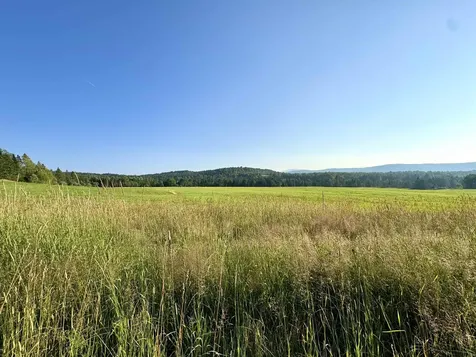 Lot 1, 2, & 3 Creampoke Road Stewartstown NH 03576