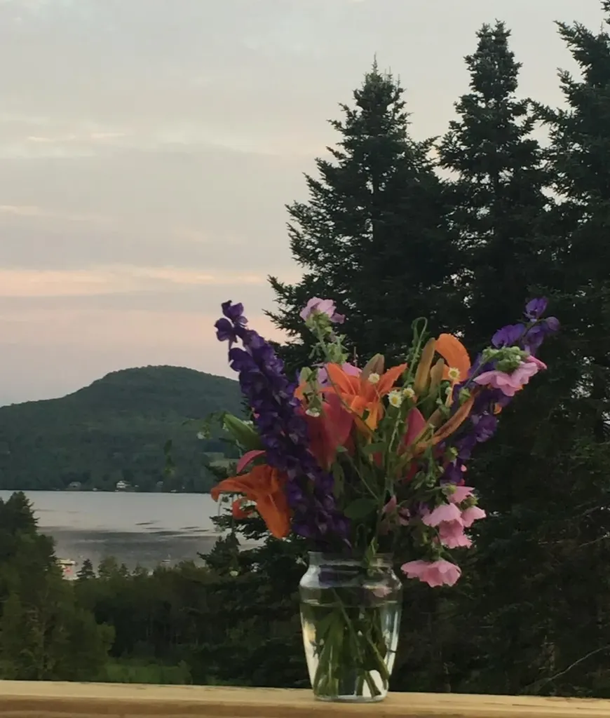 8411 Vt Route 111 Morgan VT 05853