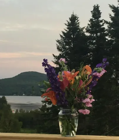 8411 Vermont Route 111 Morgan VT 05853